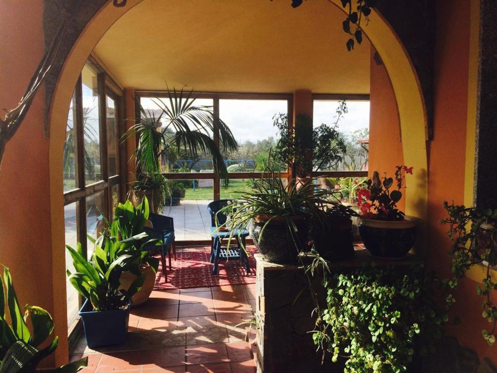 Il Bouganville Oristano Exterior photo
